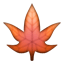maple_leaf